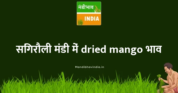dried mango भाव
